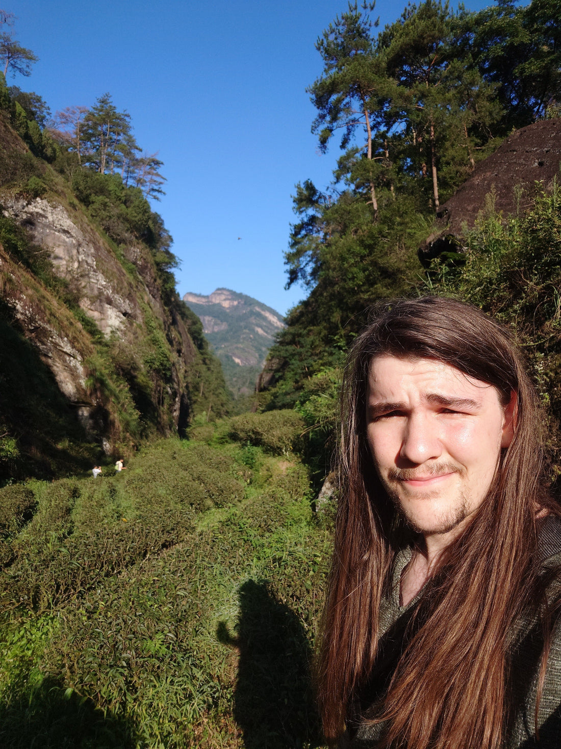 A Little Pause & Big Thank You