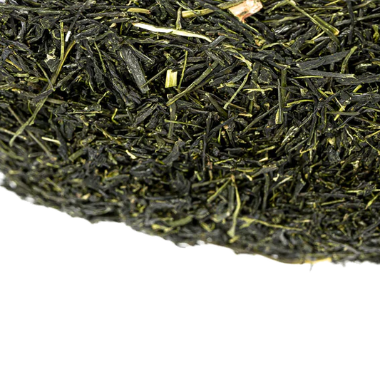 Kabuse Sencha