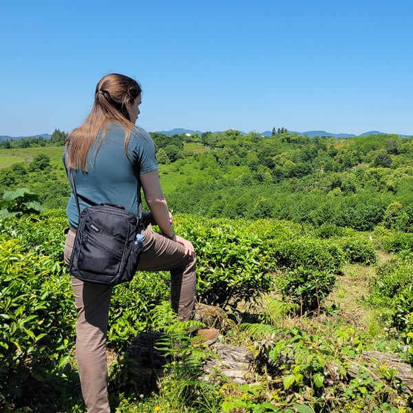 Georgian GABA Red Tea | "Qvevri Etseri"
