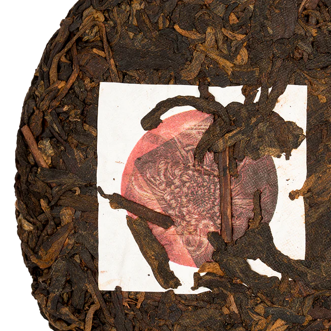 Magic Shu Pu-erh