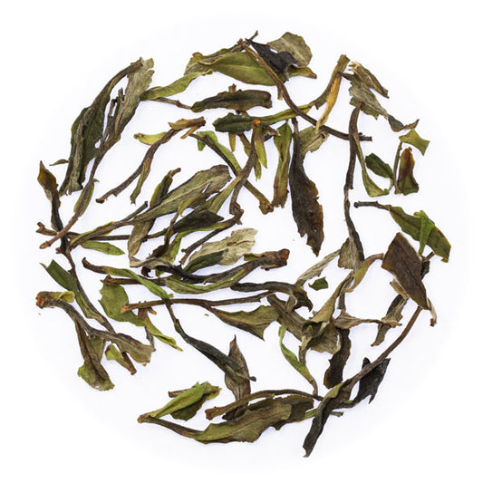 White Wuyi 2023 - White Tea