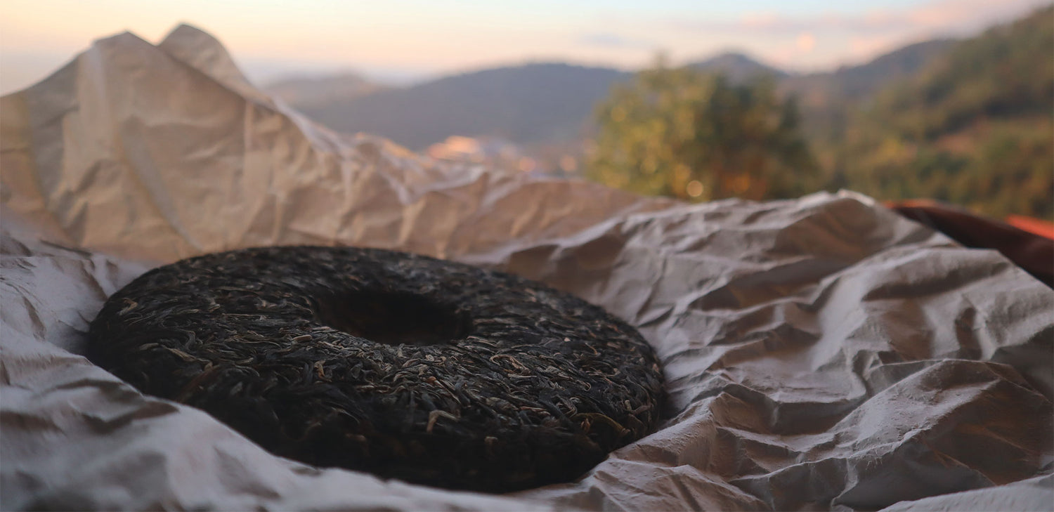 Photo of puerh tea cake against a sunset. Credit Dennis Petersen